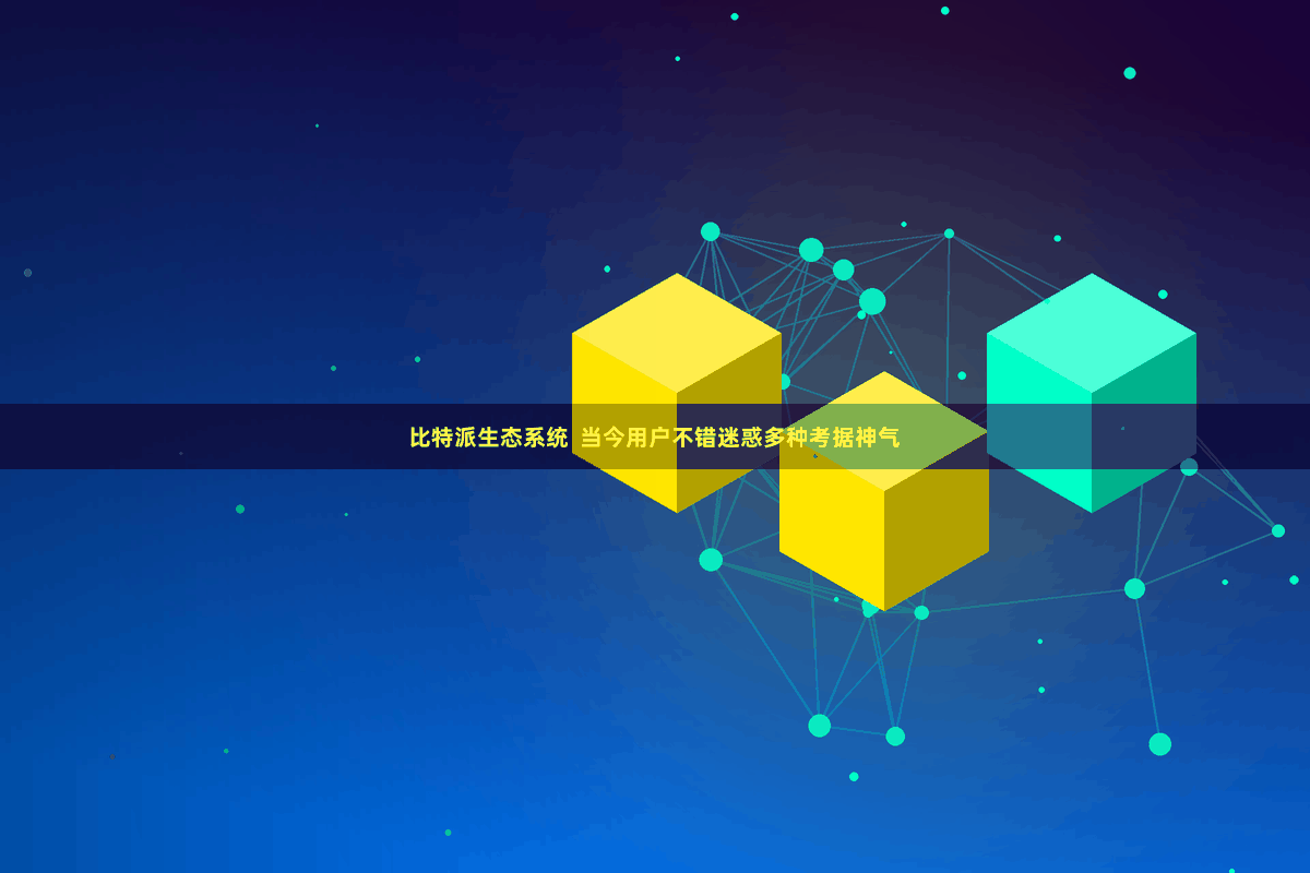 比特派生态系统  当今用户不错迷惑多种考据神气